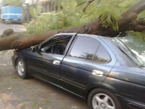 El vehiculo sufrió serios daños en el techo, puertas y capot