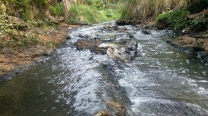 Las Tasas Ambientales deberán servir tambien para limpieza y recuperación de arroyos.