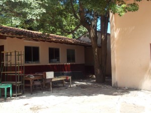 Las raíces de un árbol levanta peligrosamente el piso del lado de la cantina, 