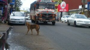 Mientras la propuesta de baja del pasaje en San Lorenzo va al "congelador", la mayoria de los internos siguen cobrando G 2.000 por el boleto.